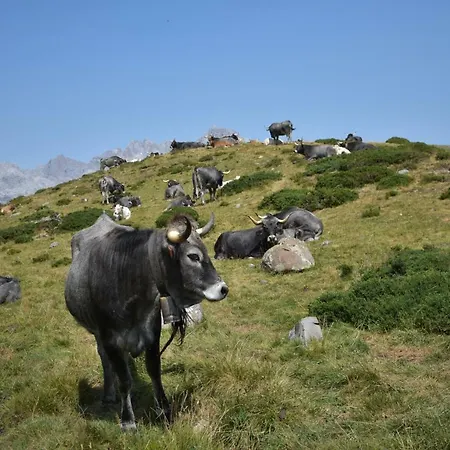 Casa El Montero Ferienhaus Espinama